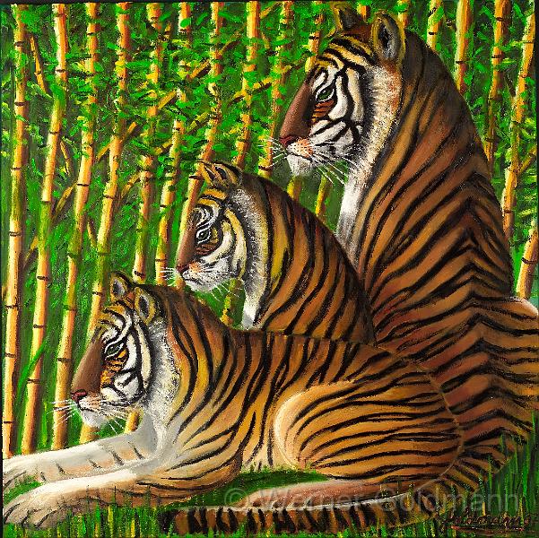 Tiger im Bambus II.jpg - Tiger im Bambus II / Tiger in the bamboo II (100x100)cm -Öl auf Leinwand